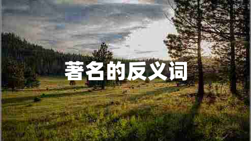 著名的反義詞