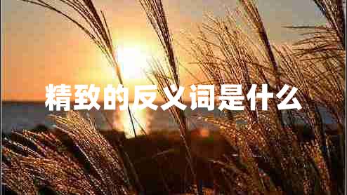 精致的反義詞是什么 精致的反義詞是什么