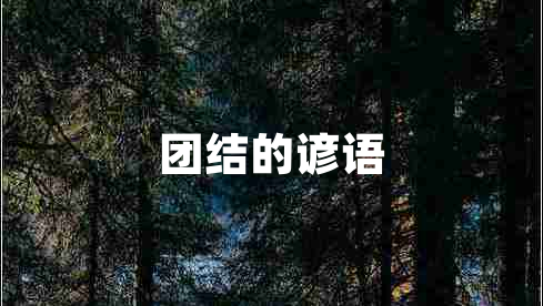團(tuán)結(jié)的諺語(yǔ)