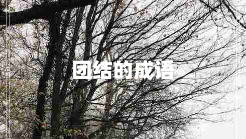 團結(jié)的成語