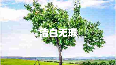 潔白無(wú)瑕 潔白無(wú)瑕