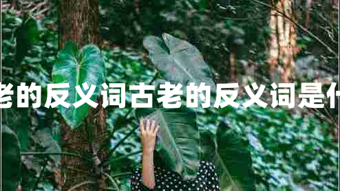 古老的反義詞古老的反義詞是什么
