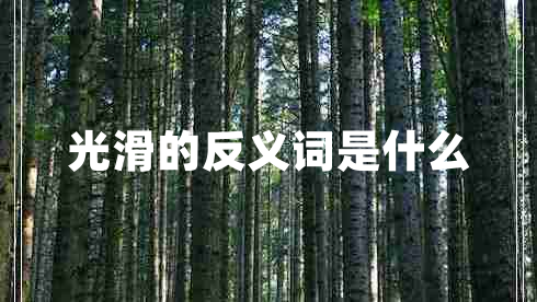 光滑的反義詞是什么 光滑的反義詞是什么