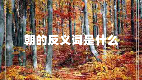 朝的反義詞是什么