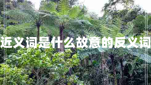 故意的近義詞是什么故意的反義詞是什么