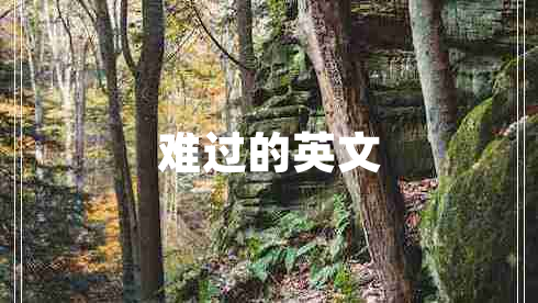 難過(guò)的英文