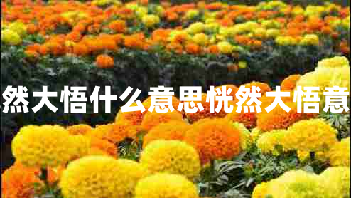 恍然大悟什么意思恍然大悟意思