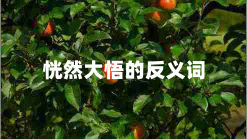 恍然大悟的反義詞