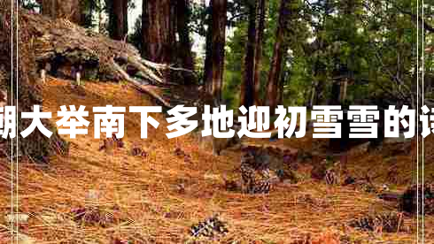 寒潮大舉南下多地迎初雪雪的詩句