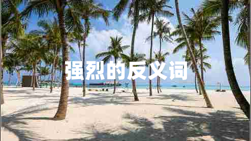 強烈的反義詞 強烈的反義詞