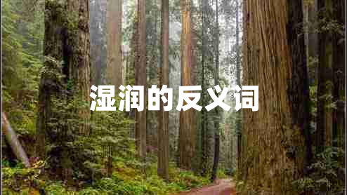 濕潤的反義詞 濕潤的反義詞