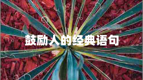 鼓勵(lì)人的經(jīng)典語句