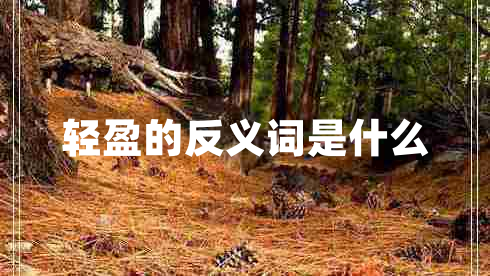 輕盈的反義詞是什么 輕盈的反義詞是什么