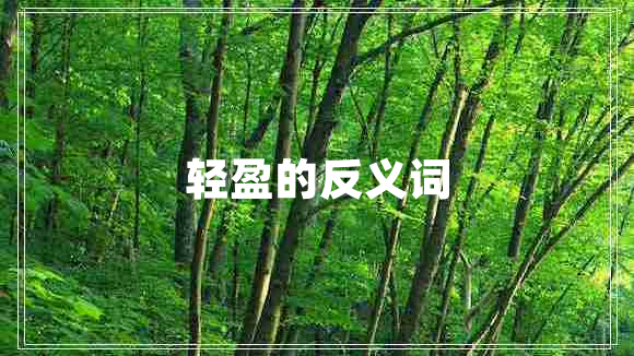 輕盈的反義詞 輕盈的反義詞