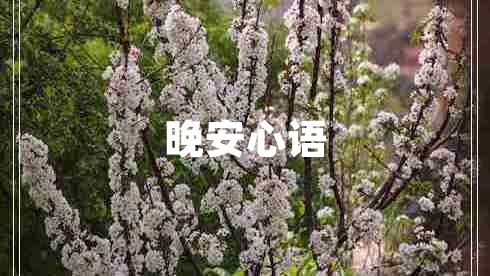 晚安心語