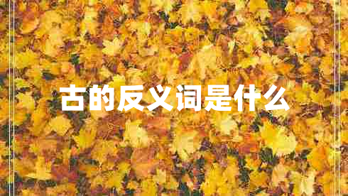 古的反義詞是什么 古的反義詞是什么