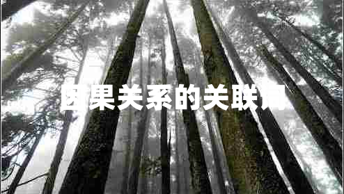 因果關(guān)系的關(guān)聯(lián)詞