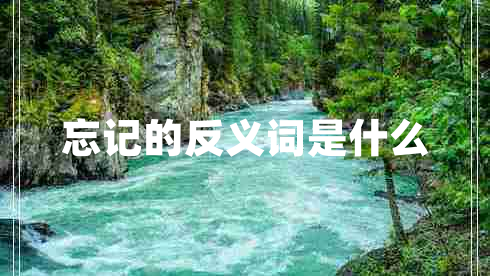 忘記的反義詞是什么