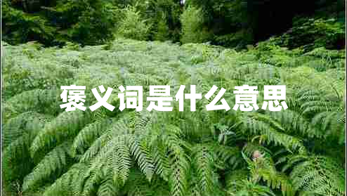 褒義詞是什么意思