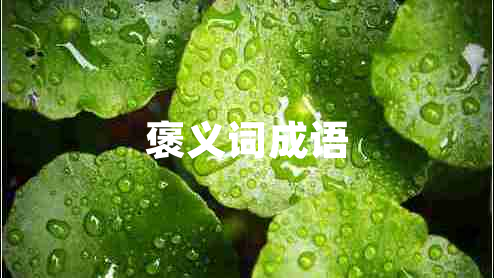 褒義詞成語(yǔ) 褒義詞成語(yǔ)