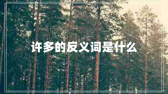 許多的反義詞是什么