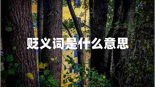 貶義詞是什么意思