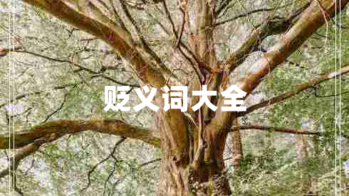 貶義詞大全 貶義詞大全