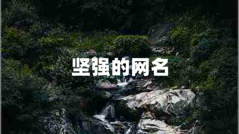 堅強的網(wǎng)名