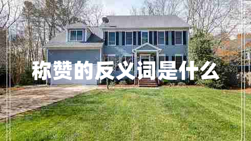 稱贊的反義詞是什么