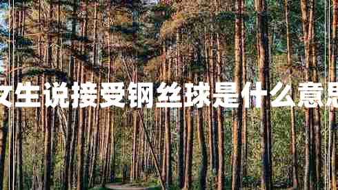 女生說接受鋼絲球是什么意思