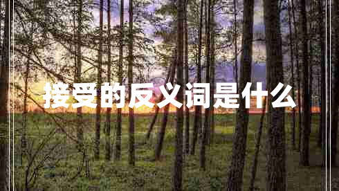 接受的反義詞是什么