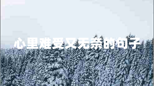 心里難受又無奈的句子 心里難受又無奈的句子