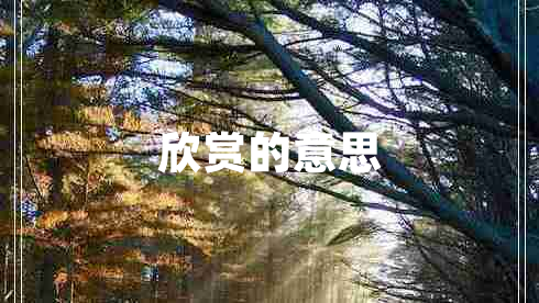 欣賞的意思 欣賞的意思