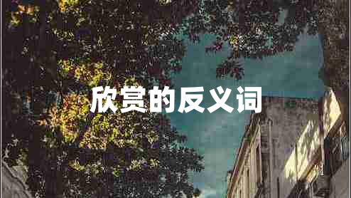 欣賞的反義詞 欣賞的反義詞