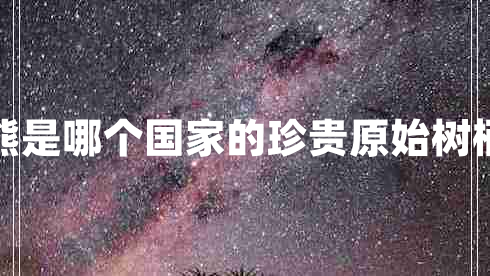 樹袋熊是哪個國家的珍貴原始樹棲動物
