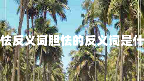 膽怯反義詞膽怯的反義詞是什么