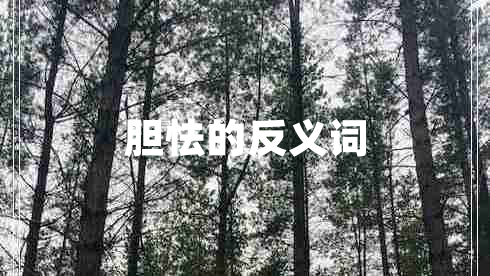 膽怯的反義詞