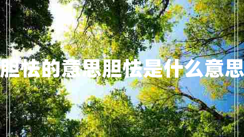 膽怯的意思膽怯是什么意思