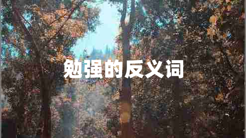 勉強(qiáng)的反義詞