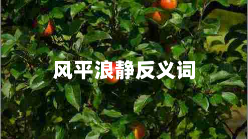 風(fēng)平浪靜反義詞