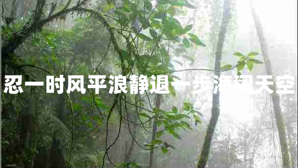 忍一時(shí)風(fēng)平浪靜退一步海闊天空