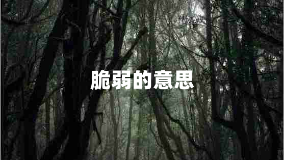 脆弱的意思 脆弱的意思