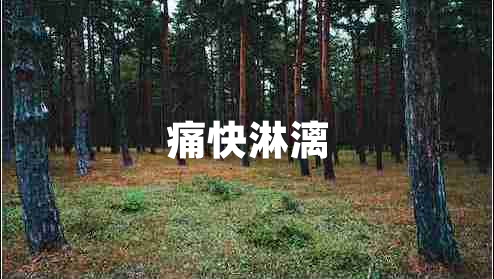 痛快淋漓 痛快淋漓