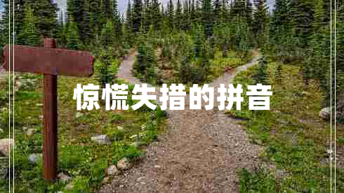 驚慌失措的拼音