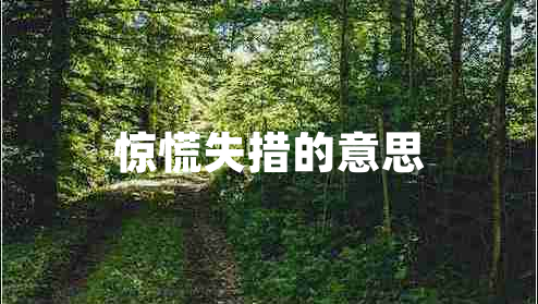 驚慌失措的意思