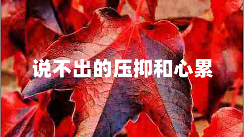 說不出的壓抑和心累