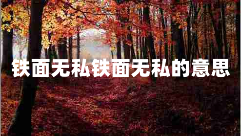 鐵面無私鐵面無私的意思