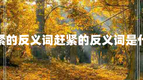 趕緊的反義詞趕緊的反義詞是什么