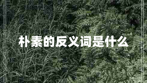 樸素的反義詞是什么