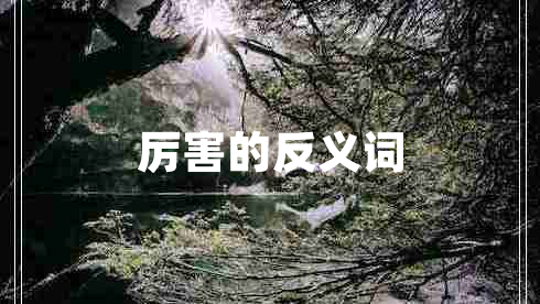 厲害的反義詞 厲害的反義詞